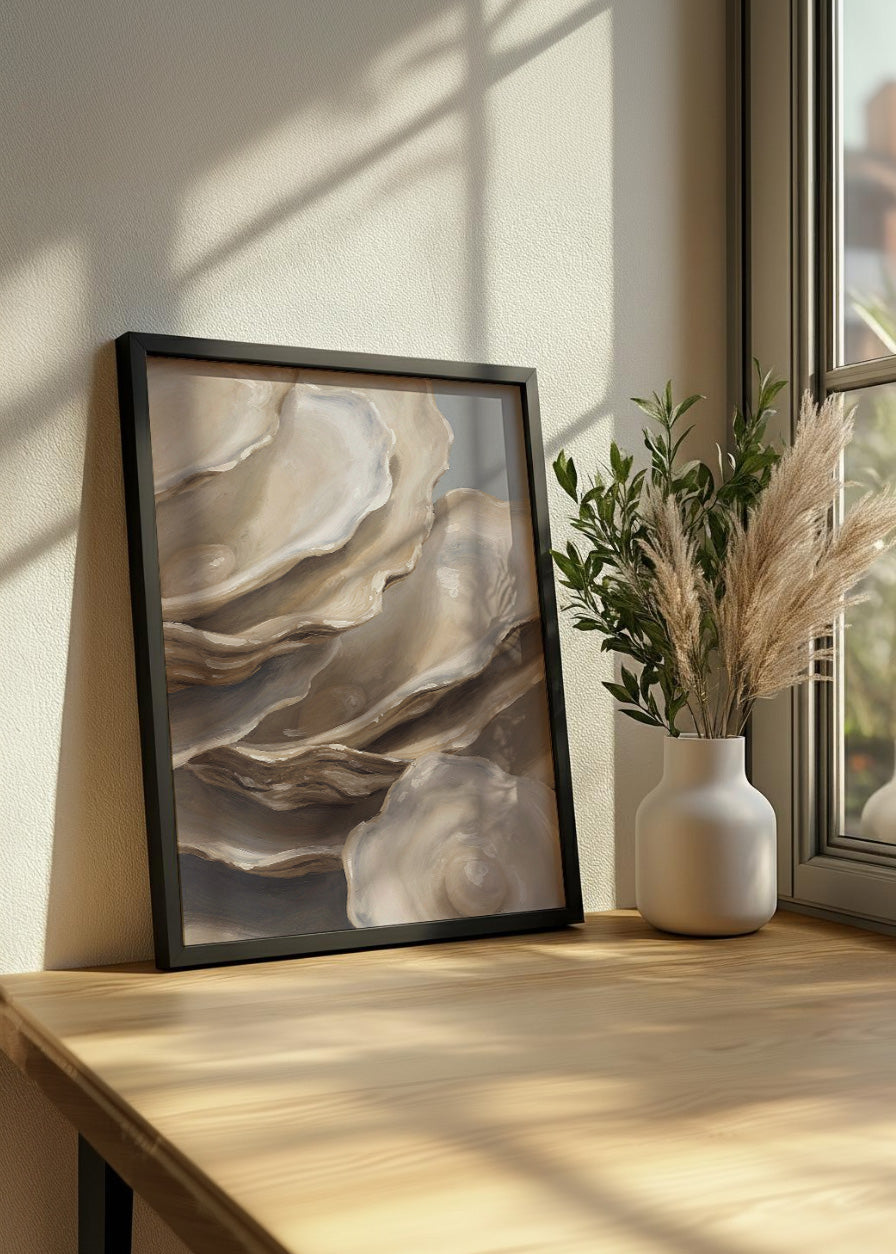 Cuadro Colección de conchas