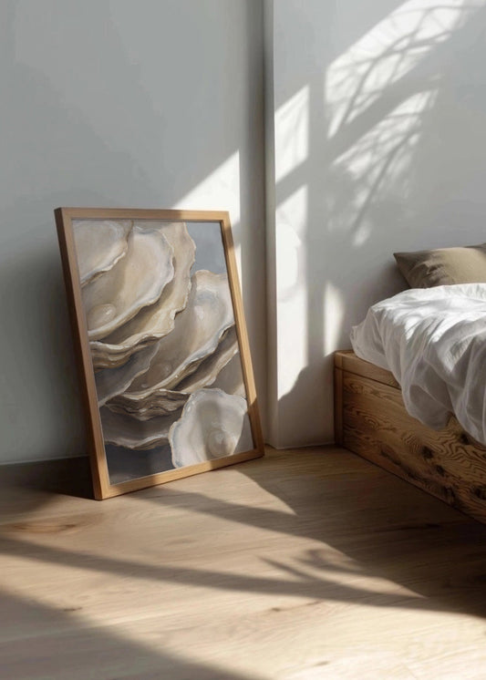 Cuadro Colección de conchas