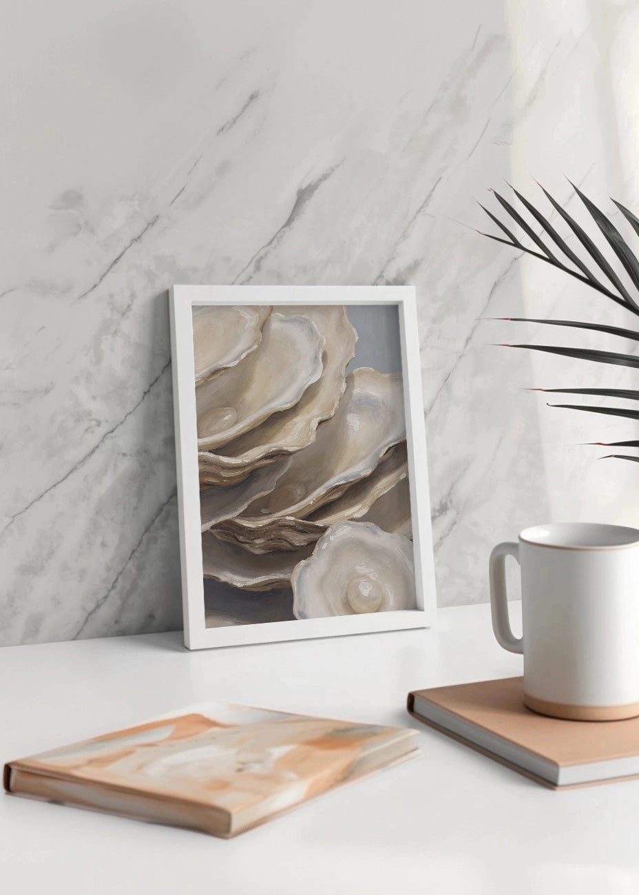 Cuadro Colección de conchas