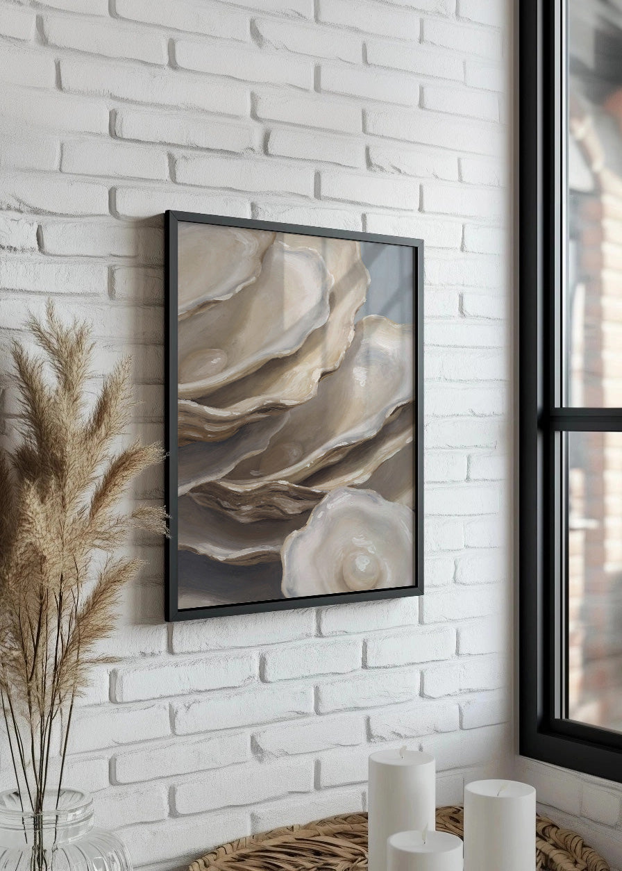 Cuadro Colección de conchas