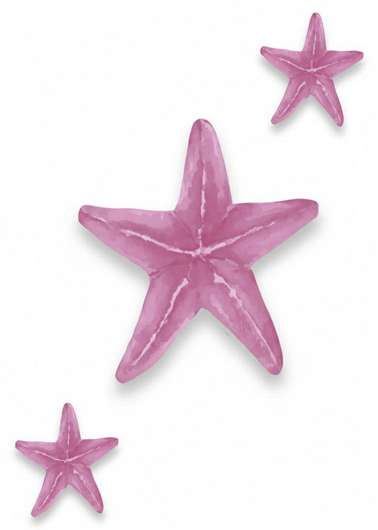 Cuadro Estrellas de mar