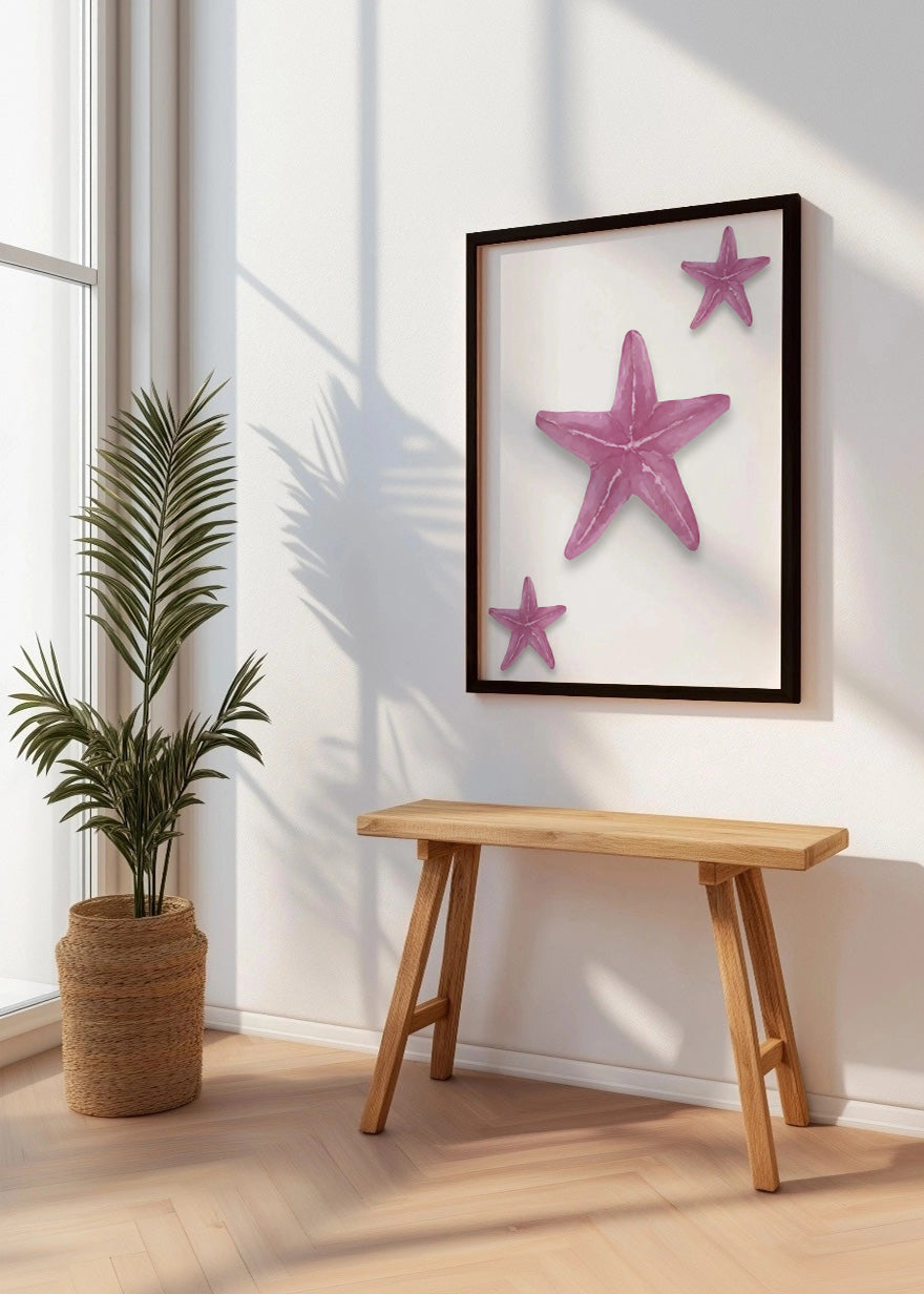 Cuadro Estrellas de mar