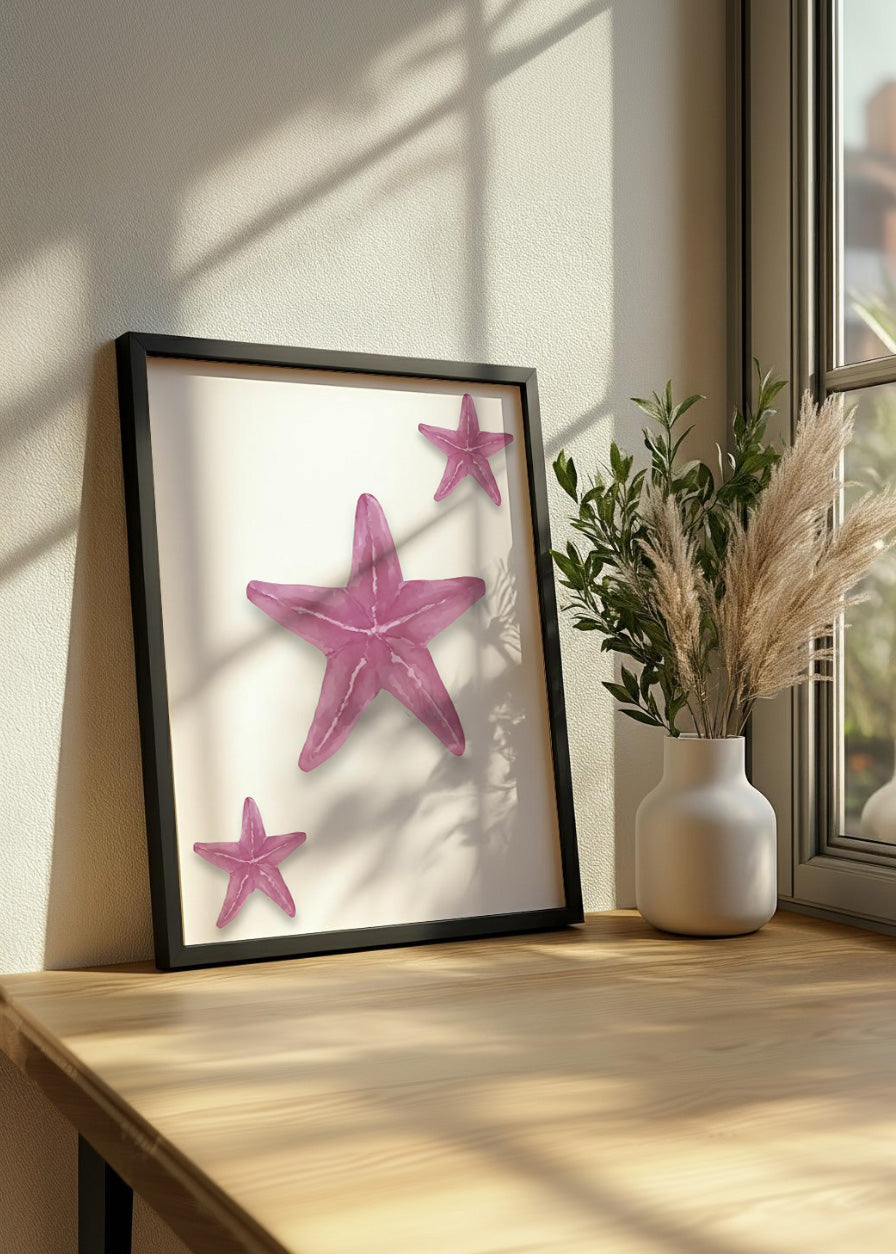 Cuadro Estrellas de mar