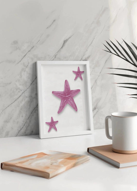 Cuadro Estrellas de mar