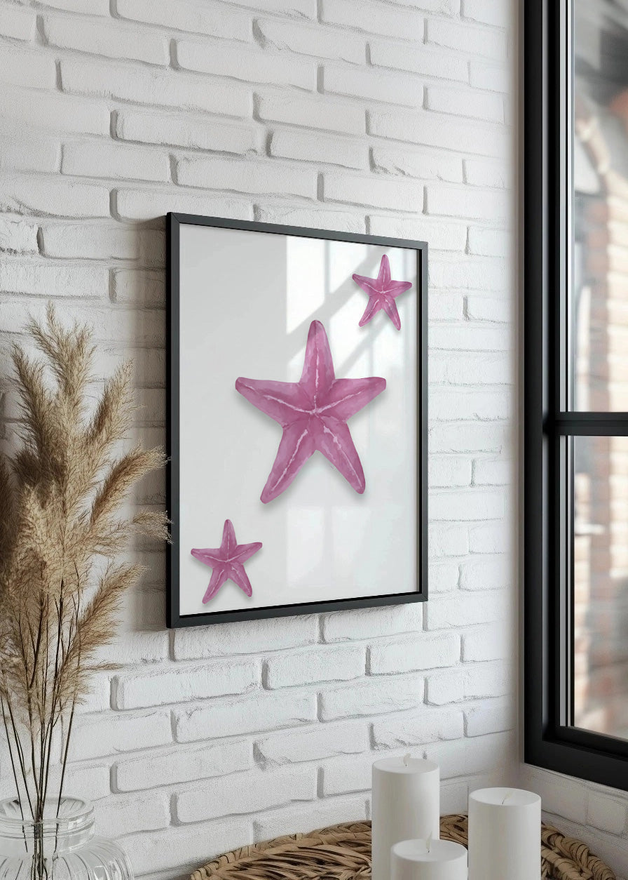 Cuadro Estrellas de mar