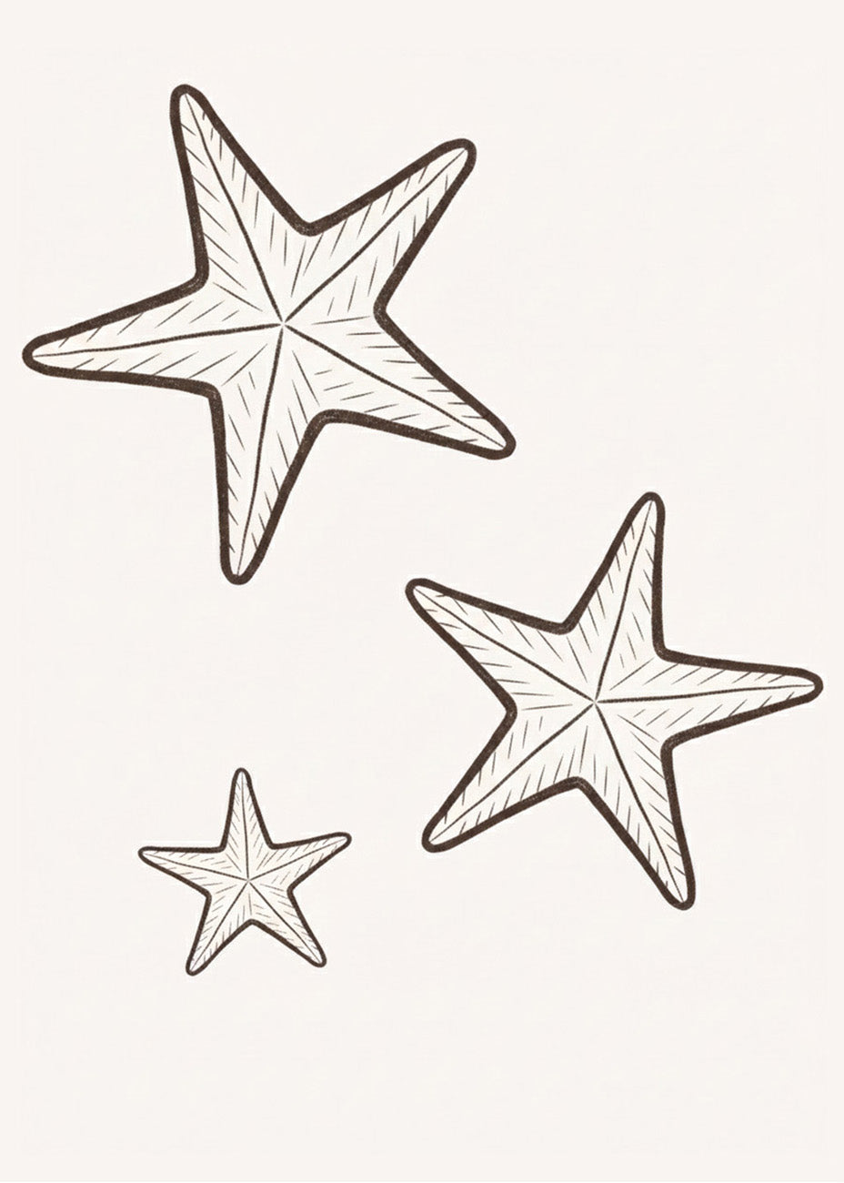 Cuadro Estrellitas de mar