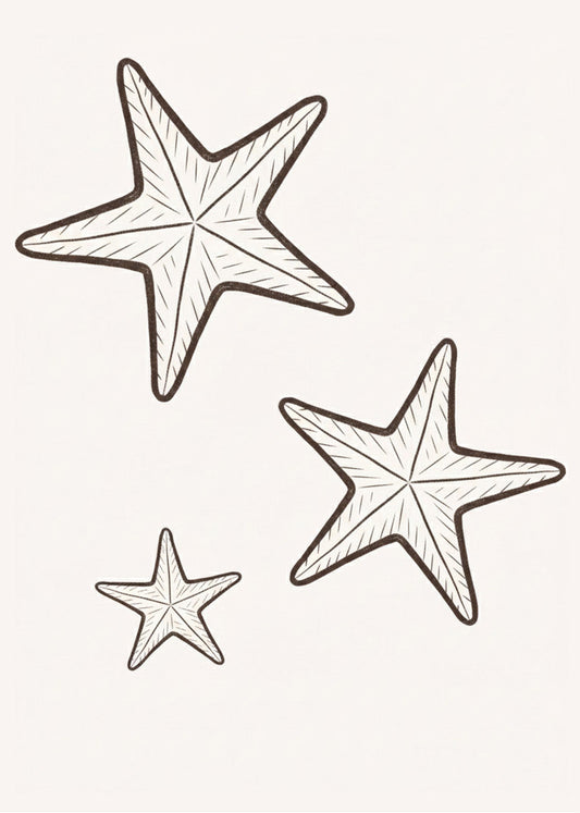 Cuadro Estrellitas de mar