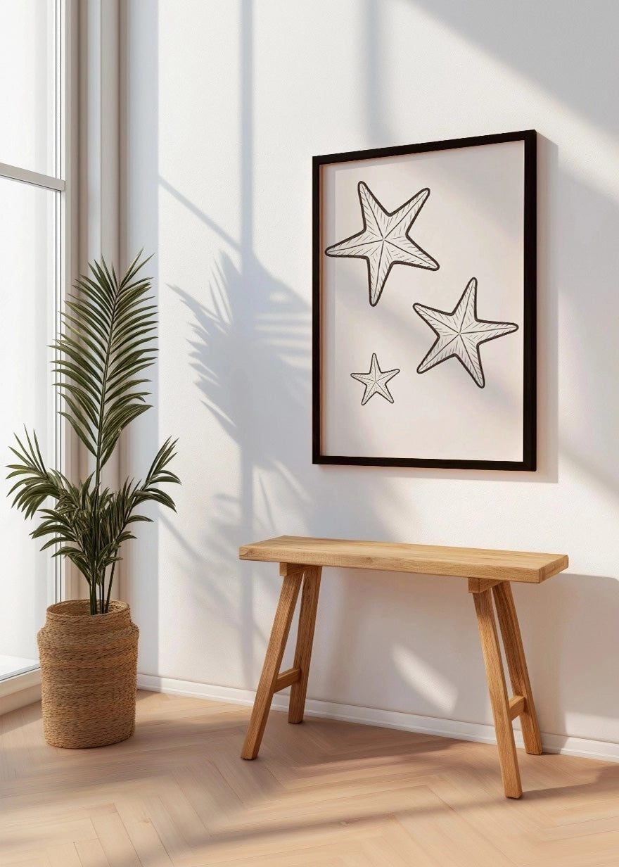 Cuadro Estrellitas de mar