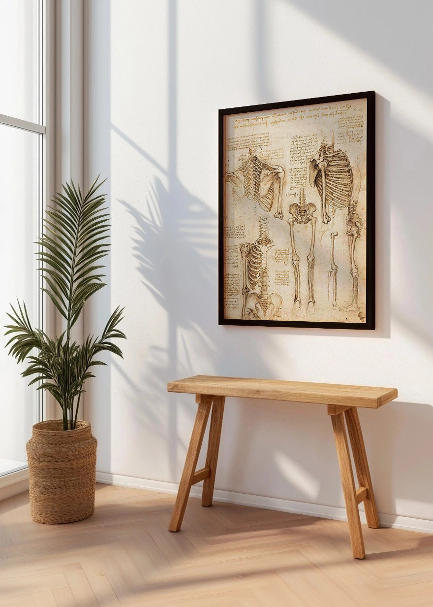 Cuadro ​Estudio de esqueleto humano (Leonardo Da Vinci)