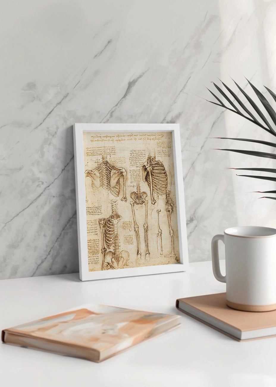 Cuadro ​Estudio de esqueleto humano (Leonardo Da Vinci)