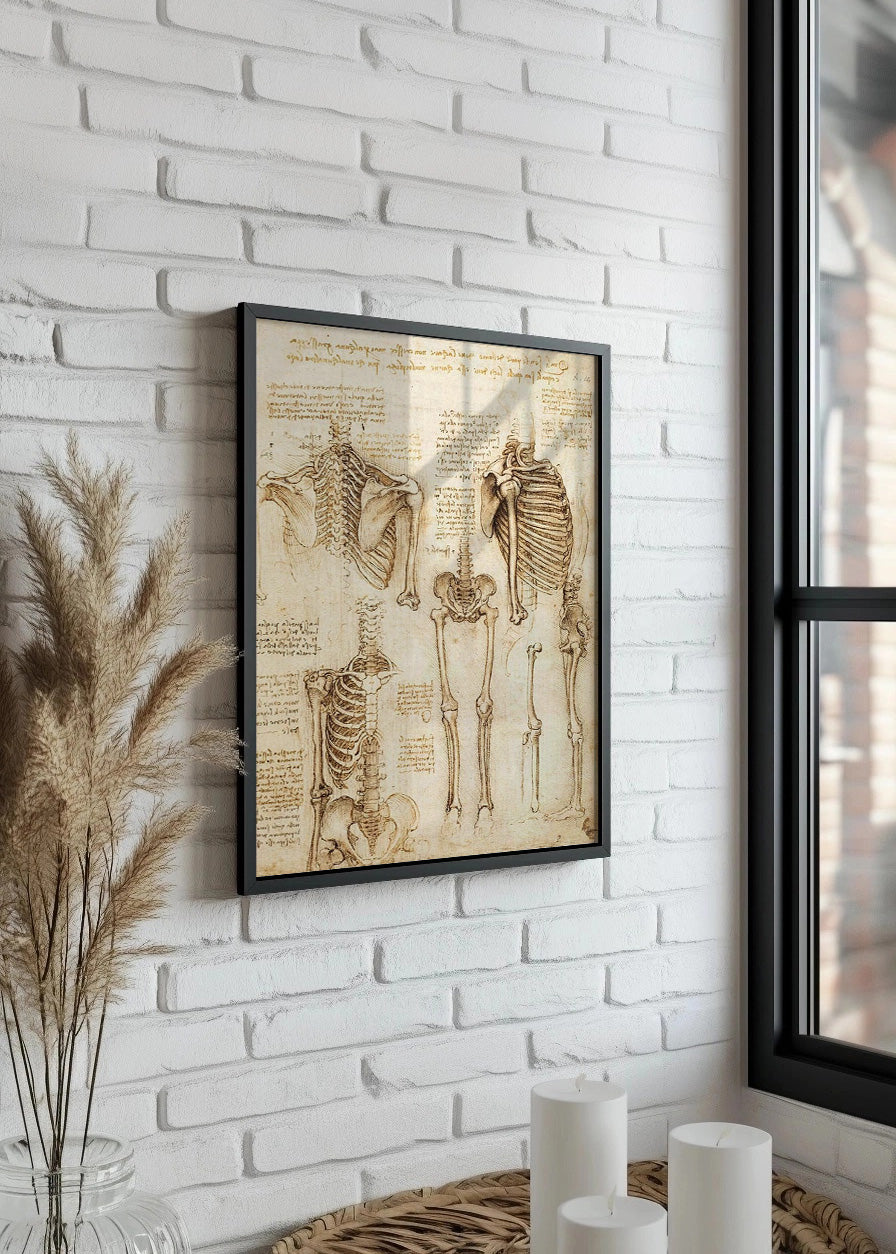 Cuadro ​Estudio de esqueleto humano (Leonardo Da Vinci)