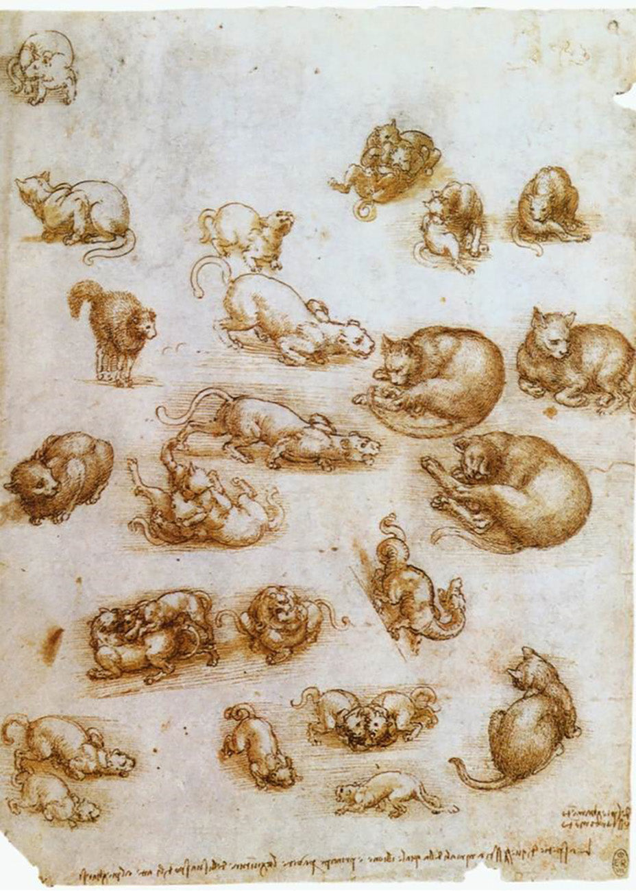 Cuadro ​Estudio de gatos y dragones (Leonardo Da Vinci)