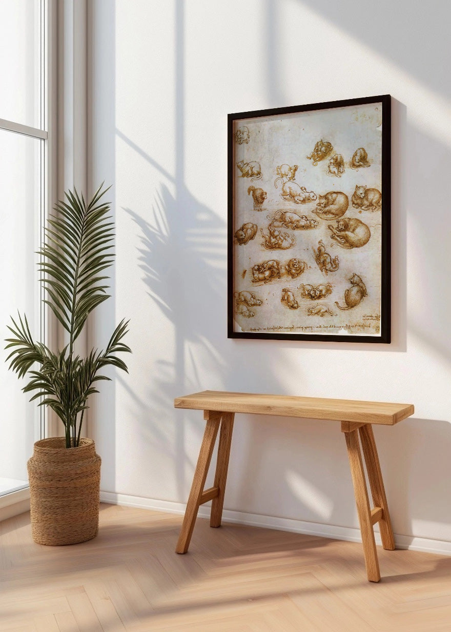 Cuadro ​Estudio de gatos y dragones (Leonardo Da Vinci)