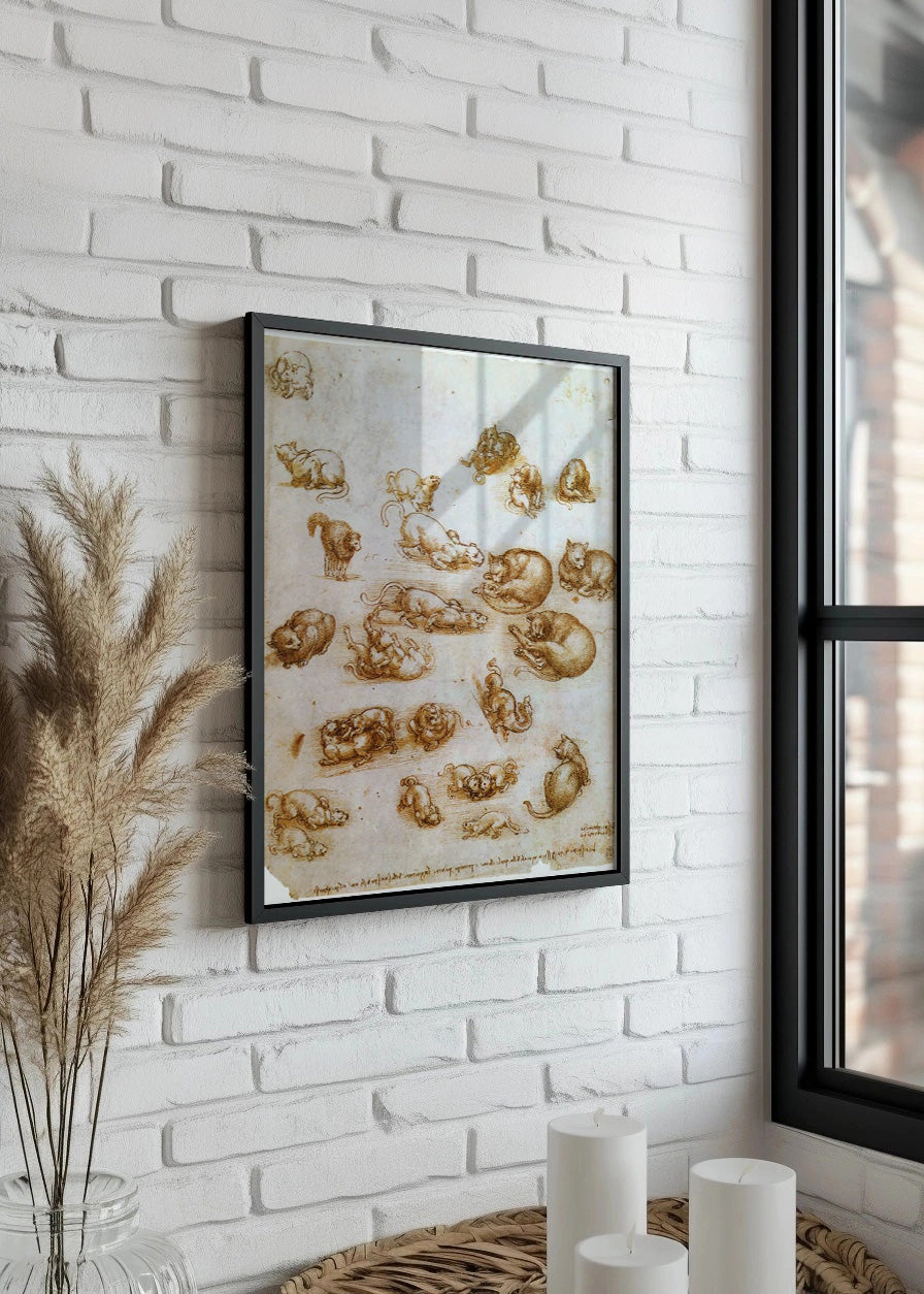 Cuadro ​Estudio de gatos y dragones (Leonardo Da Vinci)