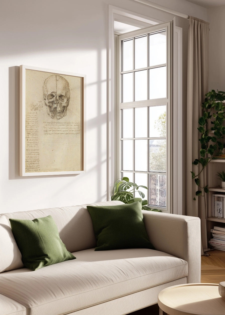 Cuadro ​Estudio del cráneo humano (Leonardo Da Vinci)