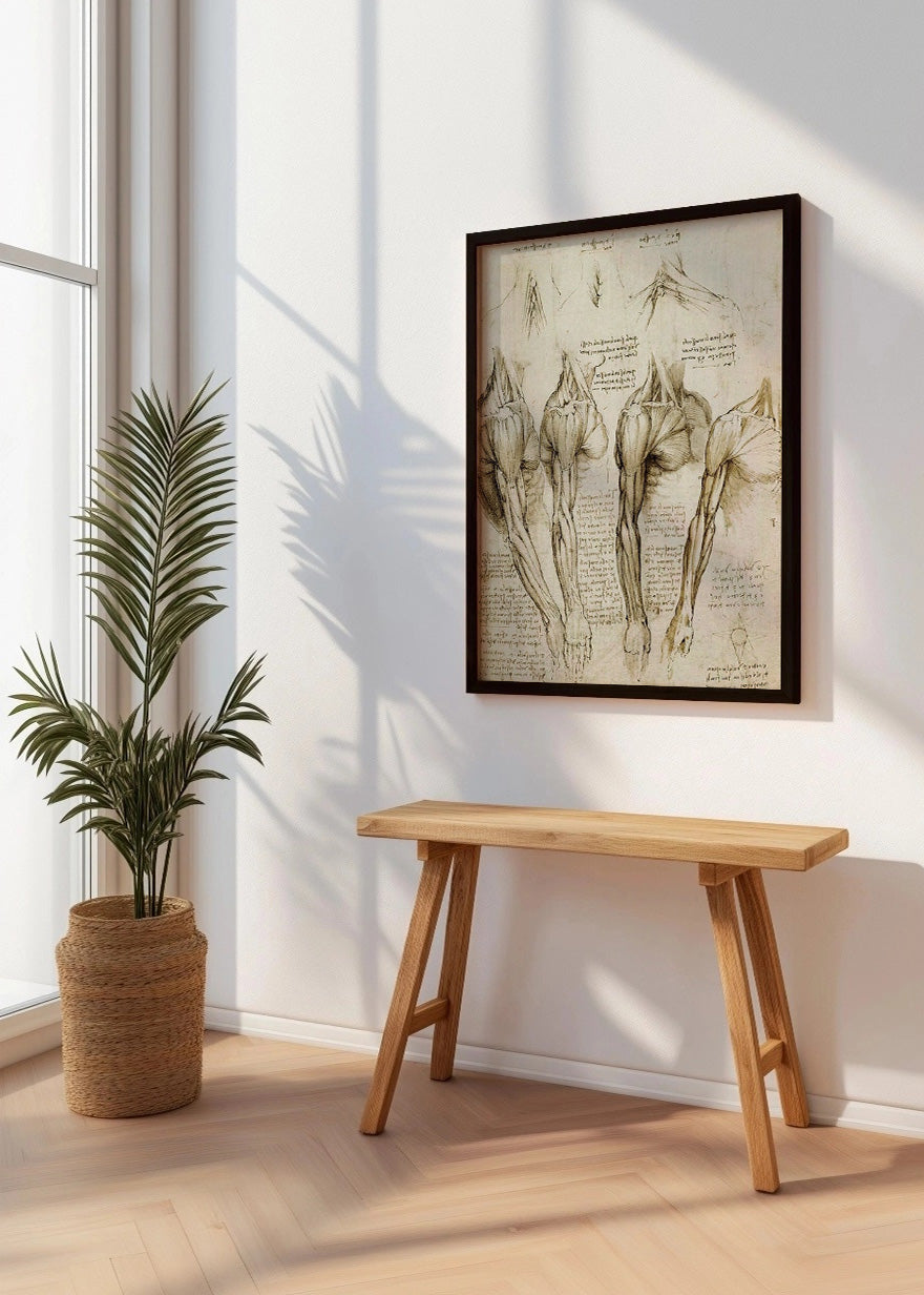 Cuadro ​Estudio de músculos del cuello, hombro y brazo (Leonardo Da Vinci)