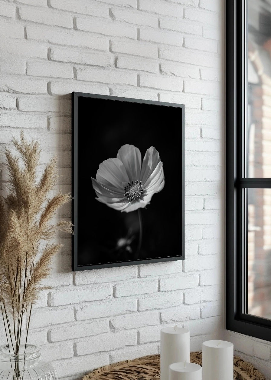 Cuadro ​Flor con fondo negro