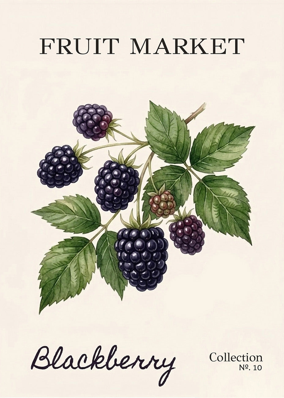 Cuadro Fruit Market N.10 - Moras