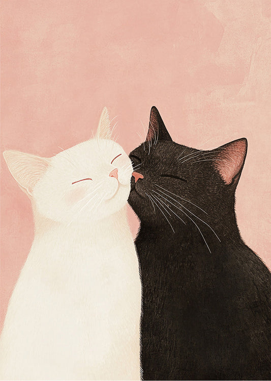 Cuadro ​Gato blanco y gato negro acariciandose