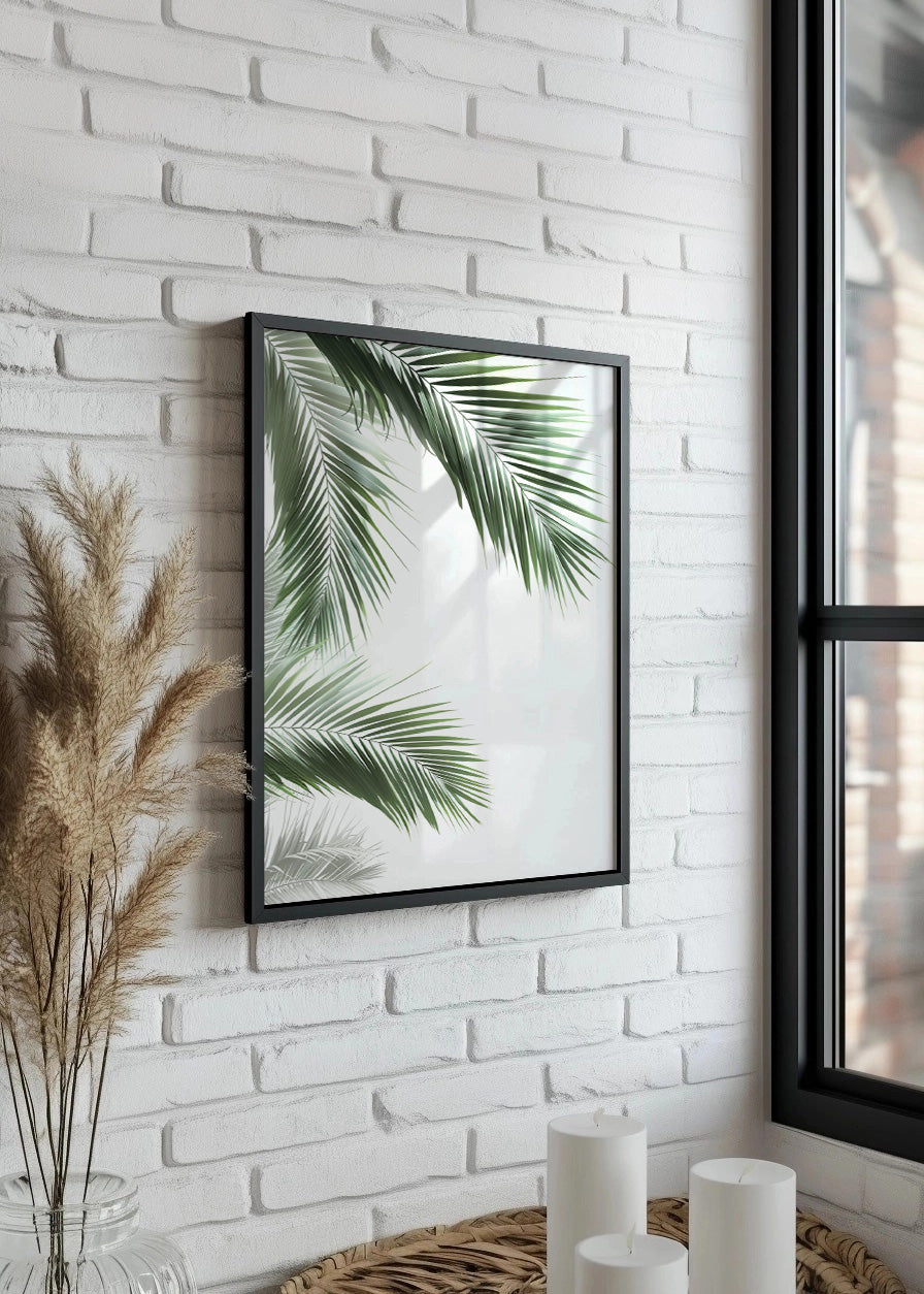 Cuadro ​Hojas de palmera sobre fondo blanco
