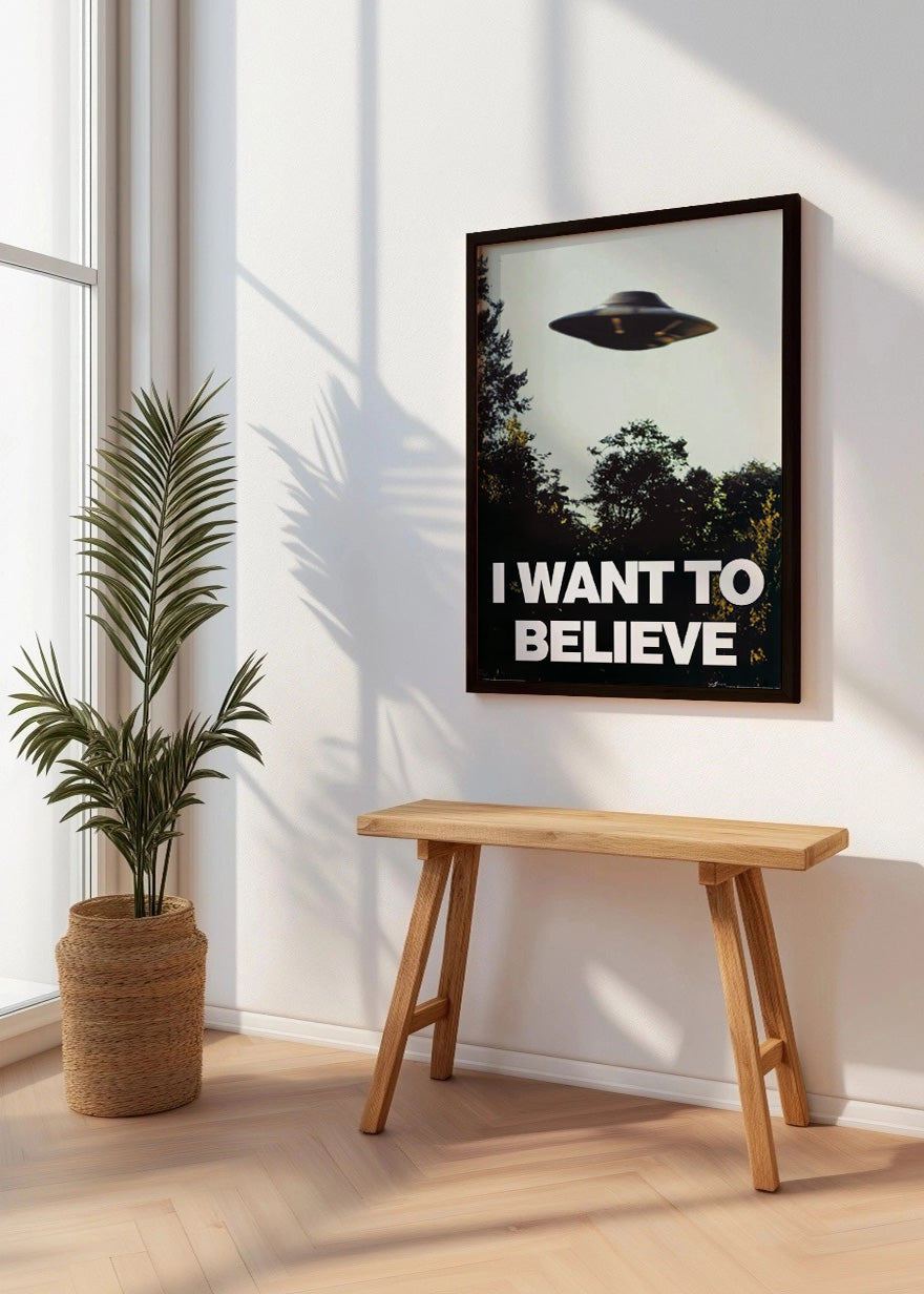 Cuadro I want to believe