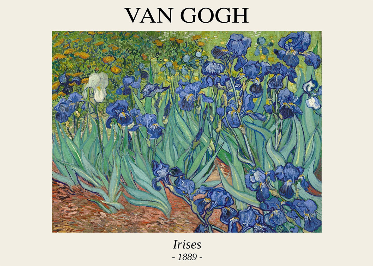 Iris (Van Gogh)