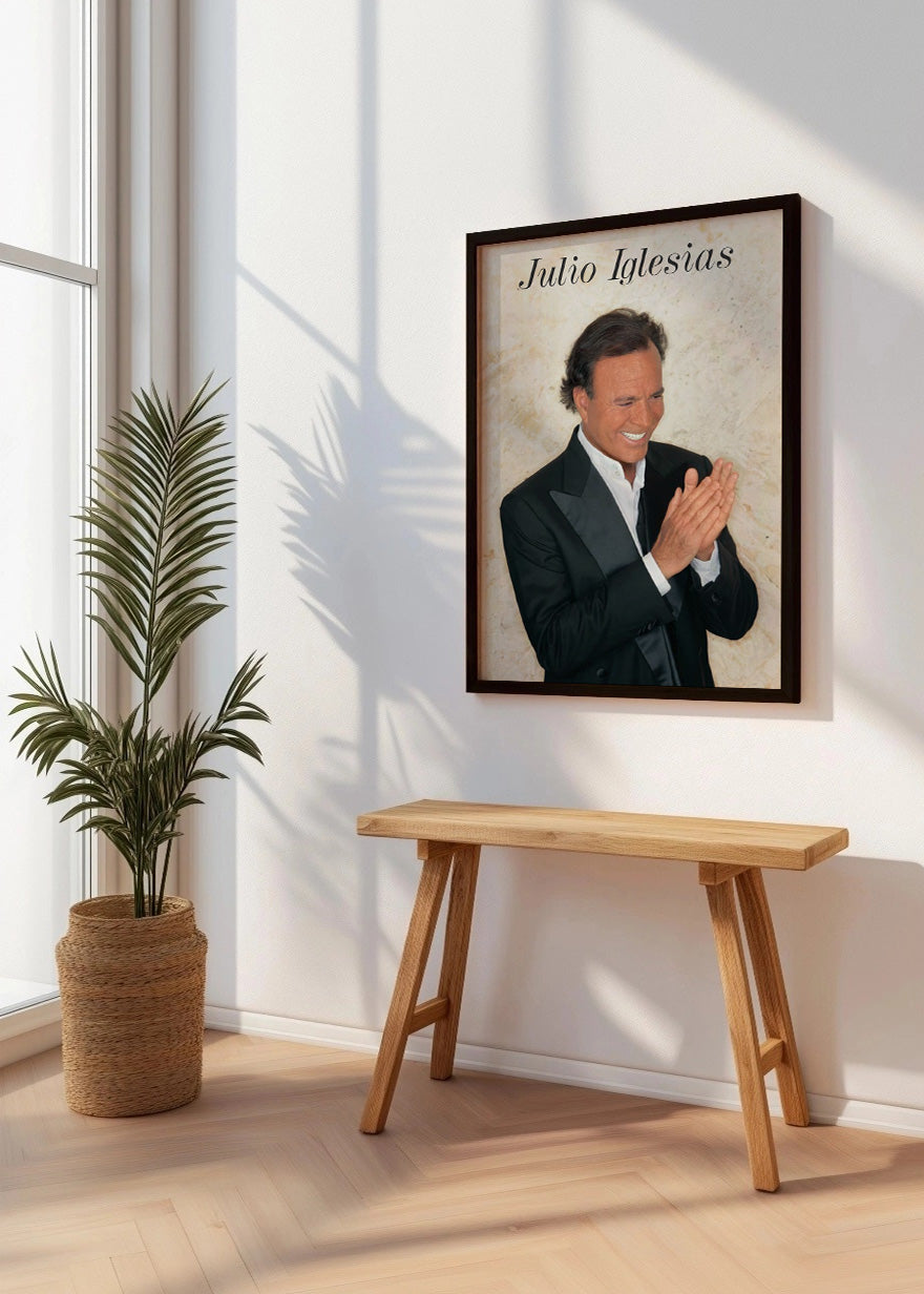 Cuadro Julio Iglesias