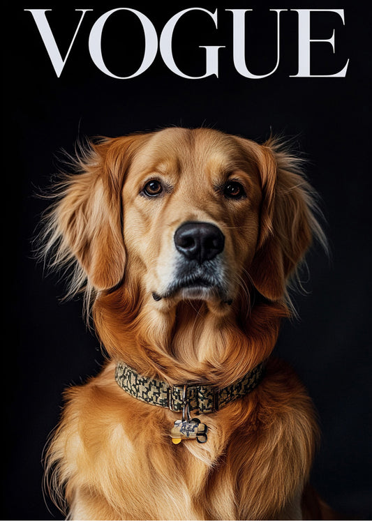 Cuadro ​Labrador modelo