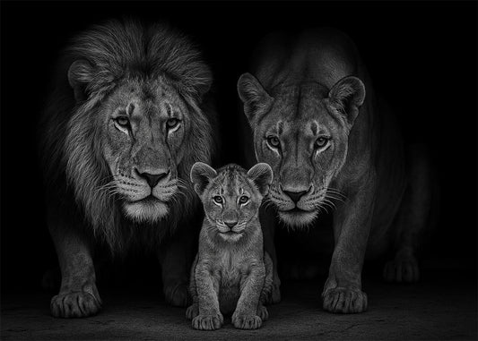 Cuadro Leones en familia