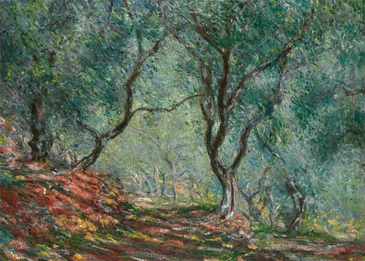 Cuadro ​Olivos en el jardín Moreno (Claude Monet)