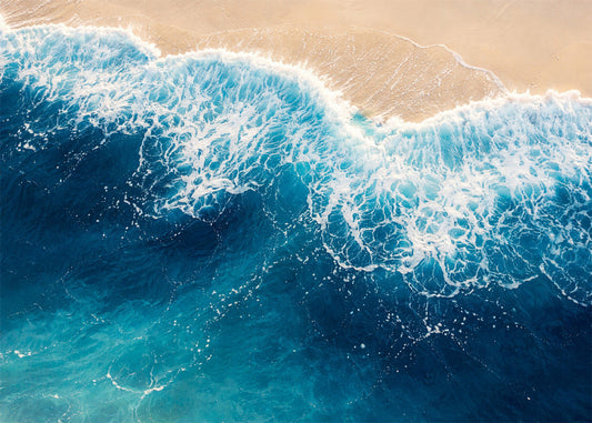 Cuadro Orilla del mar