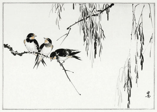 Cuadro Pajarillos a tinta china