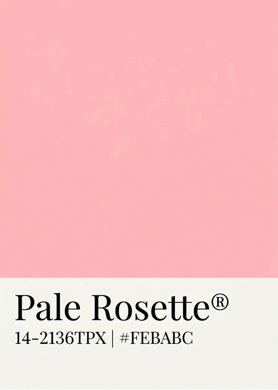 Cuadro Poster rosa pálido
