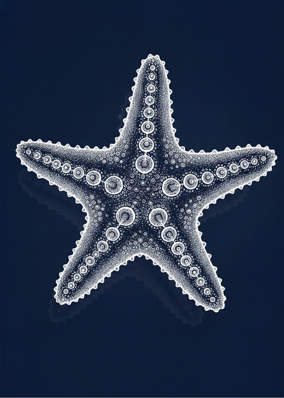 Cuadro Radiografía de estrella de mar