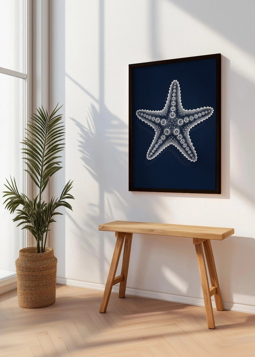 Cuadro Radiografía de estrella de mar