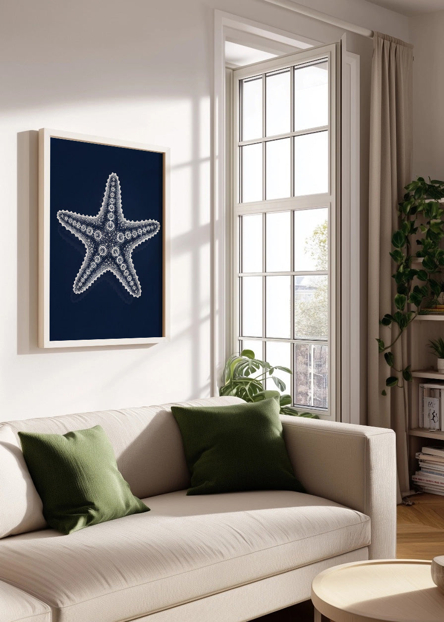 Cuadro Radiografía de estrella de mar