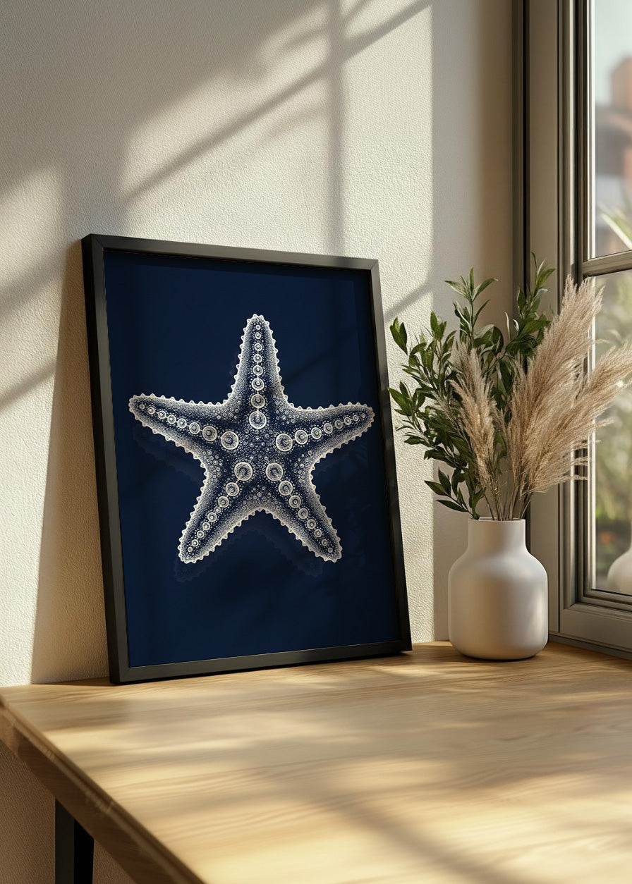 Cuadro Radiografía de estrella de mar