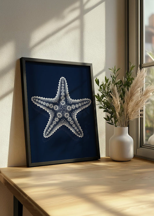 Cuadro Radiografía de estrella de mar