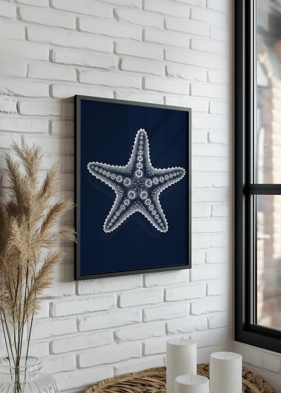 Cuadro Radiografía de estrella de mar