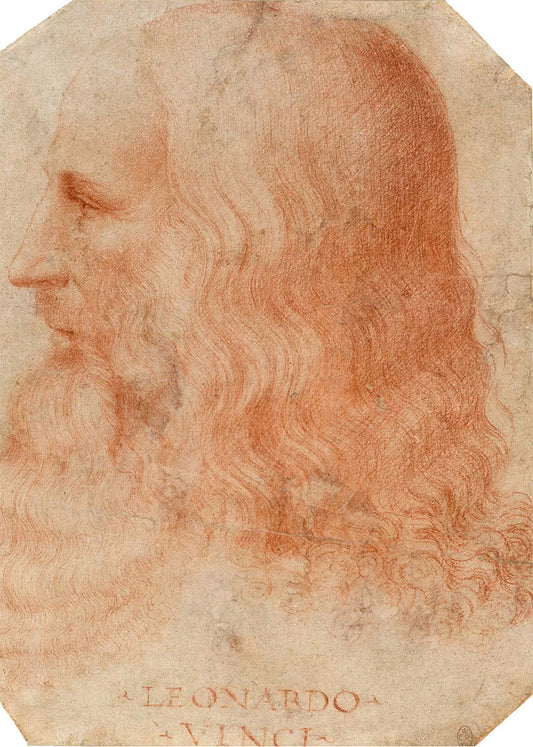 Cuadro ​Retrato de Leonardo Da Vinci (Francesco Melzi)