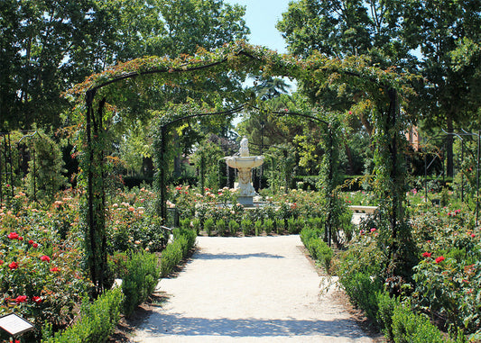 Cuadro Rosaleda de El retiro (Luis García, CC BY-SA 3.0)