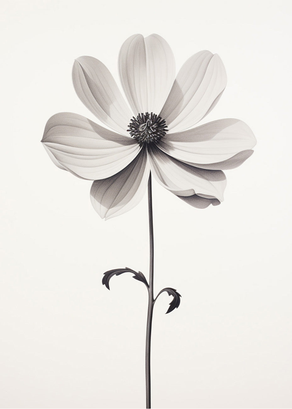 Cuadro ​Serenity flower