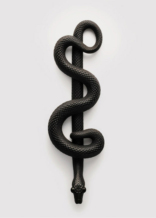 Cuadro ​Serpiente de farmacia