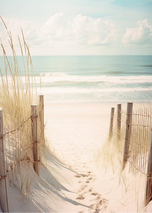 Summer sands