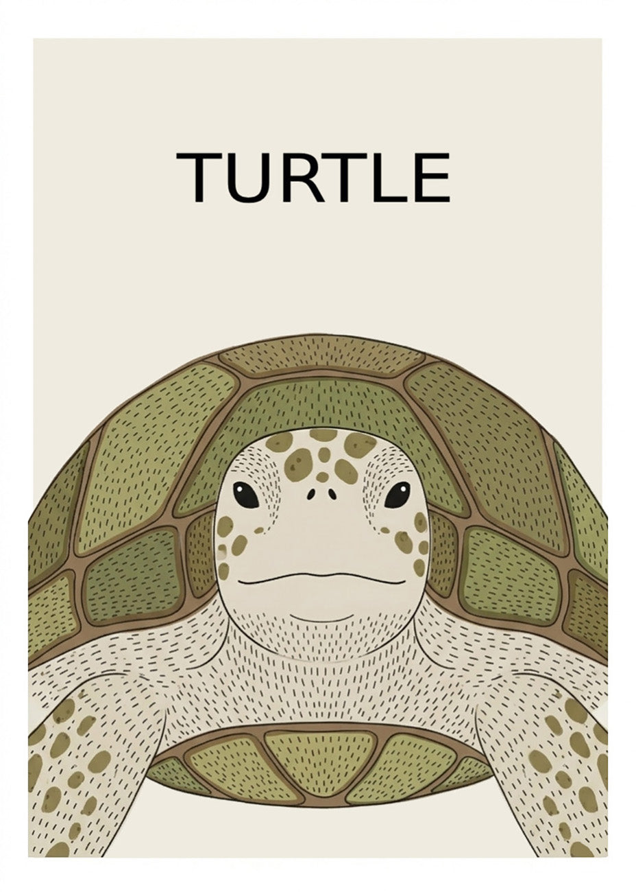 Cuadro Tortuga - Estilo infantil