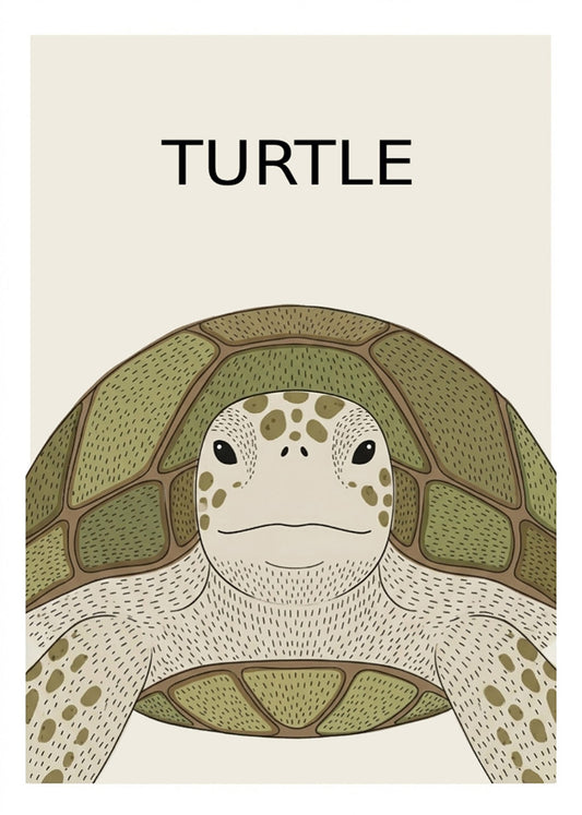 Cuadro Tortuga - Estilo infantil