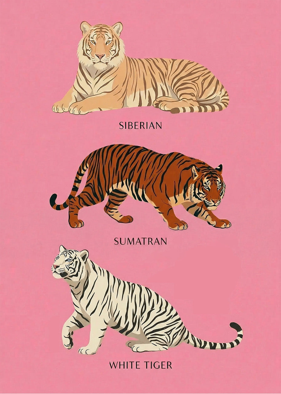 Cuadro Tres tristes tigres