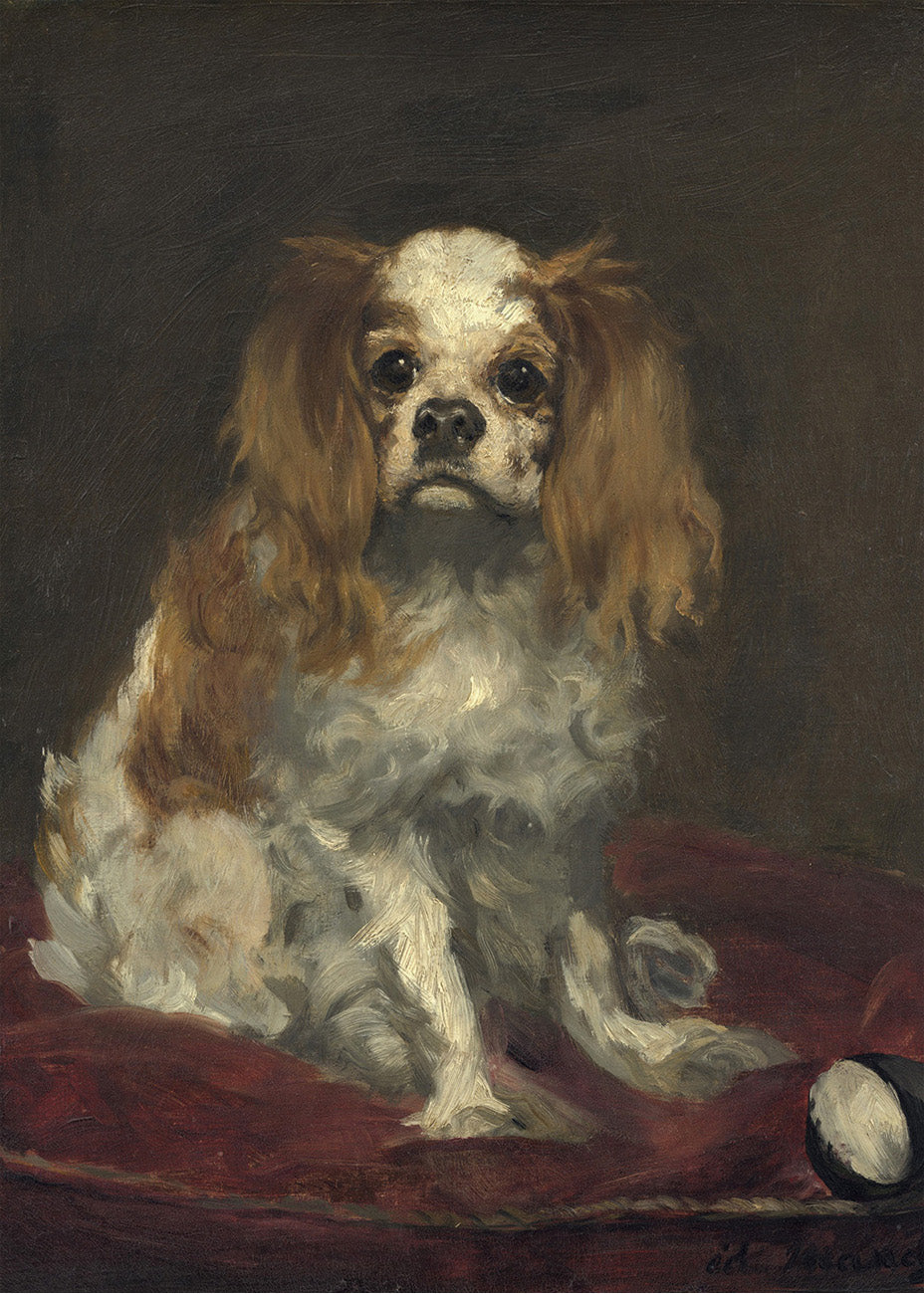 Cuadro ​Un rey charles spaniel (Edouard Manet)