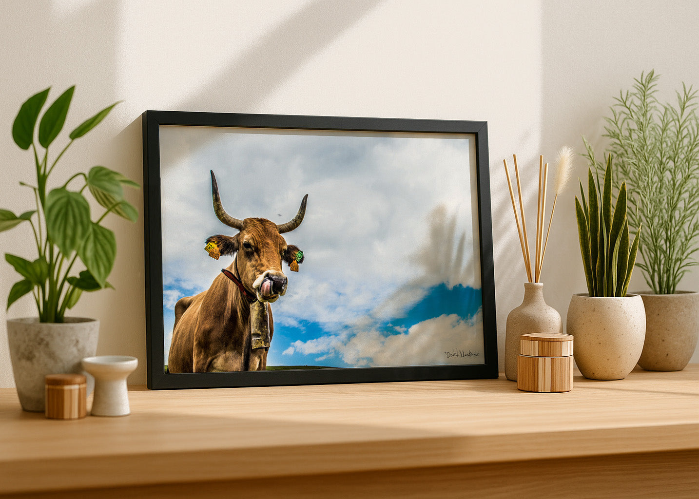 Cuadro ​Vaca asturiana